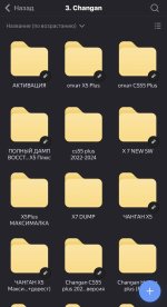 IMG_3329.jpeg